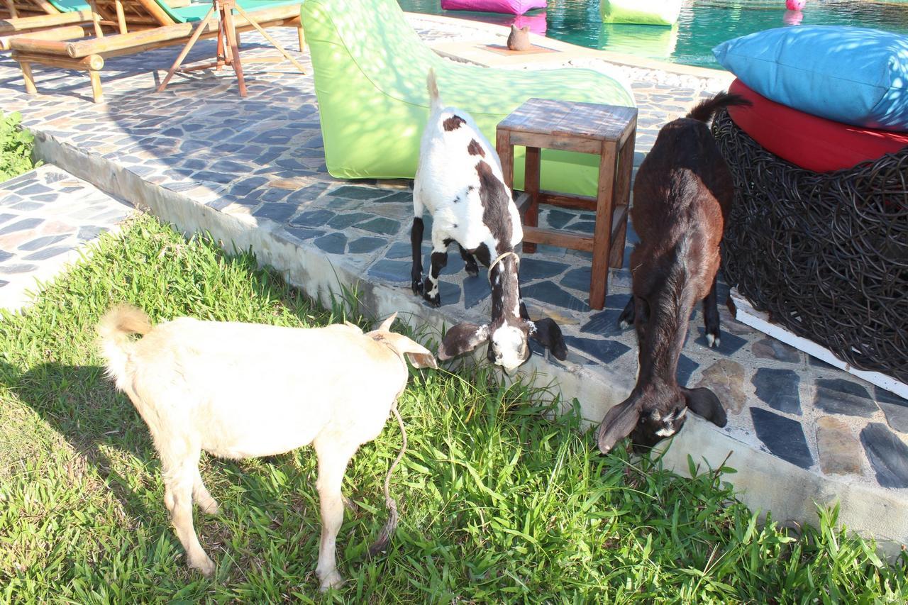 Kalaka Homestay San Sai Luaran gambar